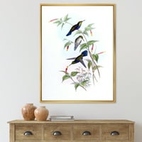 DesignArt 'Антички колибри I' Традиционална врамена платно wallидна уметност печатење