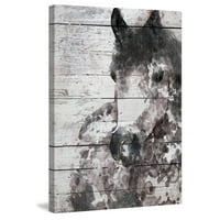 Мармонт Хил Греј коњ од Ирена Орлов Сликарство на печатење на завиткано платно
