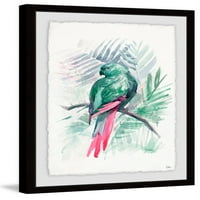 Блажена птица врамена слика за печатење