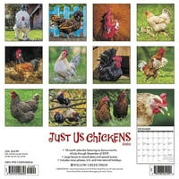 Willow Creek Press Само ние календар на wallидови од кокошки