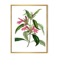 Античка американска флора VII врамена слика за сликање на платно уметничко печатење