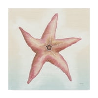 Трговска марка ликовна уметност „Boardwalk Starfish“ Canvas Art by Elyse deneige