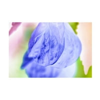 Ева Бејн „Небесни пастели 06“ платно уметност