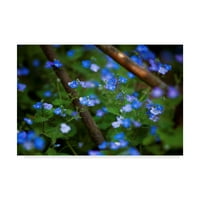 Трговска марка ликовна уметност „Сини мали цвеќиња“ платно уметност од Истван Наги